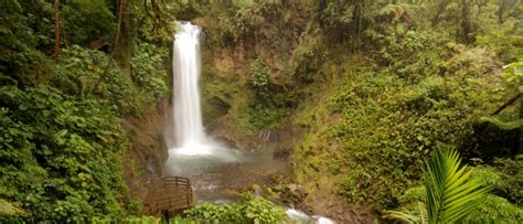 La Paz Waterfall Gardens Nature Park Rainforest And Wildlife P