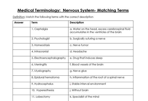 Medical Terminology Nervous System Matching Terms Health Sciences