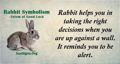 Rabbit Spirit Animal Totem Meaning Totem Of Good Luck Sunsignsorg