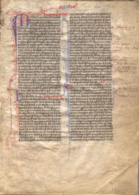 Florin Curta Euh 49056905 Independent Study Medieval Palaeography