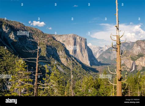 Yosemite National Park Valley Summer Landscape Stock Photo Alamy