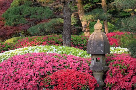 Maybe you would like to learn more about one of these? Hours & Admission - Portland Japanese Garden