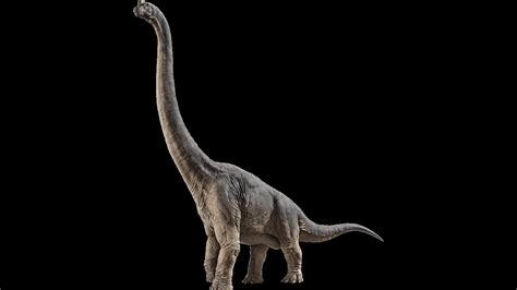 Jurassic World Brachiosaurus Sounds Youtube