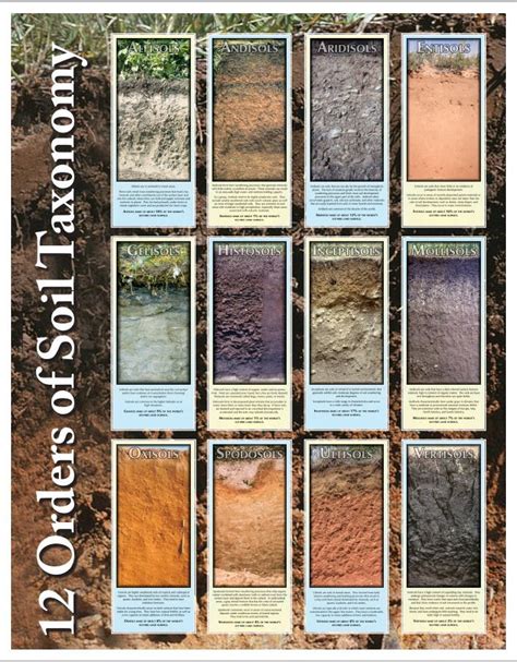 The Twelve Orders Of Soil Taxonomy Nrcs Soil Classification Soil