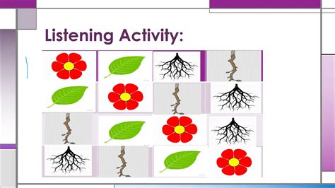 Activity For Parts Of A Plant May 19 Youtube