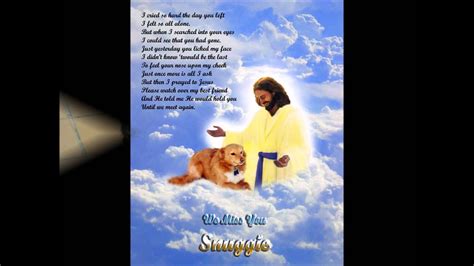 Originally published on the petfinder blog. Do Dogs Go To Heaven? - YouTube