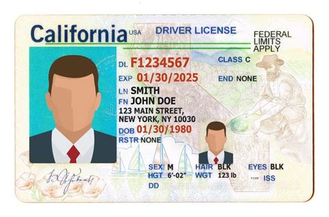 California Driver License Filled With Generic Info Stock Photo Image