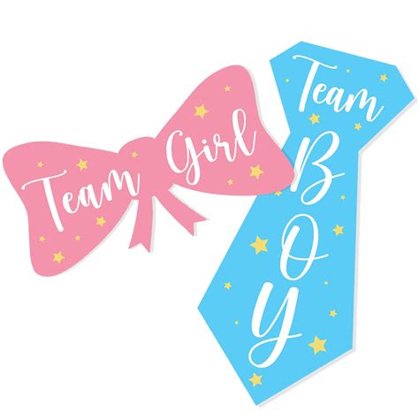 Buy Team Boy And Team Girl Gender Reveal Stickers Labels Waterproof For