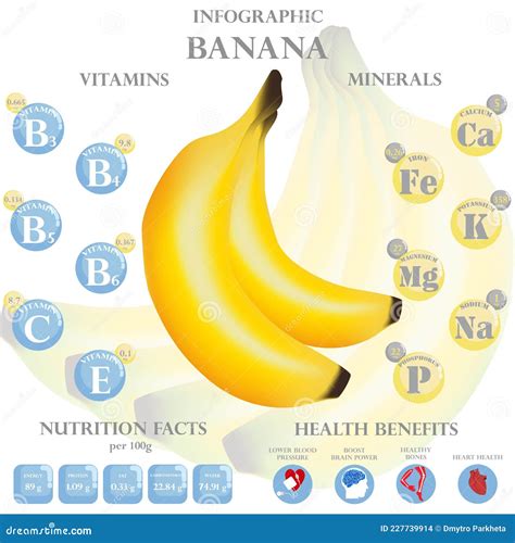 Health Benefits And Nutrition Facts Of Banana Infographic Vector