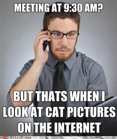 Or Look For Pins For Pinterest Funny Cats Funny Stuff Funny Work