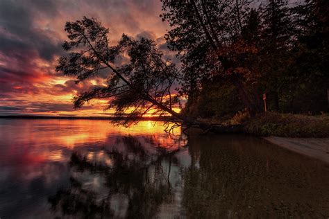 Cold Creek Leaning Tree Sunset Photograph By Ron Wiltse Fine Art America