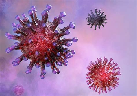 Nhs information about coronavirus vaccines, including vaccine safety and who can get the vaccine. Coronavirus update: recent developments in vaccine research