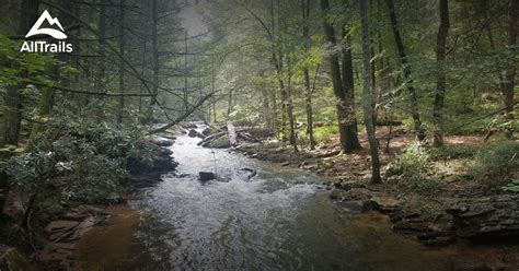 Best Trails In Hedgesville West Virginia Alltrails