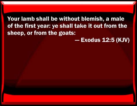 Exodus 125 Your Lamb Shall Be Without Blemish A Male Of The First