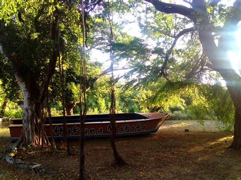 Hakuna Matata Bateaux Transport Malindi Mombasa Et La Côte