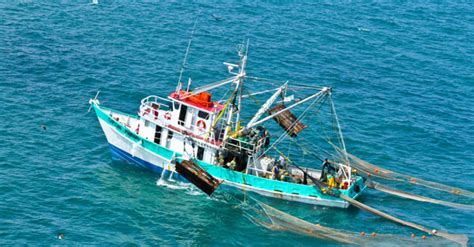 La Pesca Mexicana Una Actividad Inmensa Como El Mar Comisión