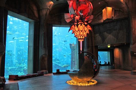 The Lost Chambers Aquarium Atlantis The Palm Hotel Palms Hotel