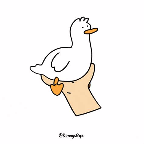 Duck Gifs Find Share On Giphy