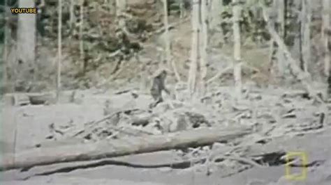 2 Men Claim Bigfoot Sighting In Ohio Video Goes Viral Fox News