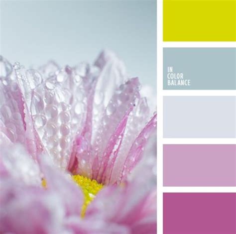 Pin By Kravets Flowers On In Color Balance Color Palette Bright