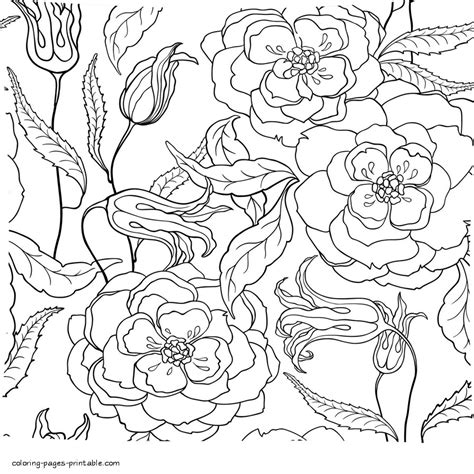 Printable Coloring Pages Flowers Adults
