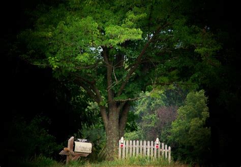 Picket Fence Mailbox Photograph By Michael L Kimble Fine Art America