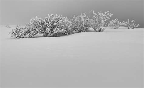 Winter White Snow Aesthetic Black And White Seasons Winter Nature