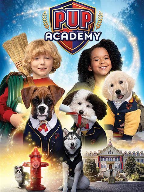 pup academy lecole secrete serie tv  allocine