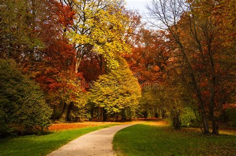 Beautiful Colorful Foliage Trees In The Park With Little Alley Autumn