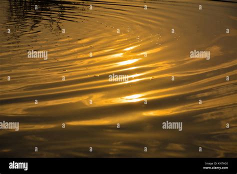 Golden Water Wave Reflection In Sunset Stock Photo Alamy