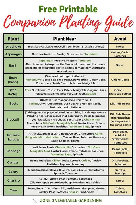 Companion Planting Chart With Free Printable In 2022 Companion