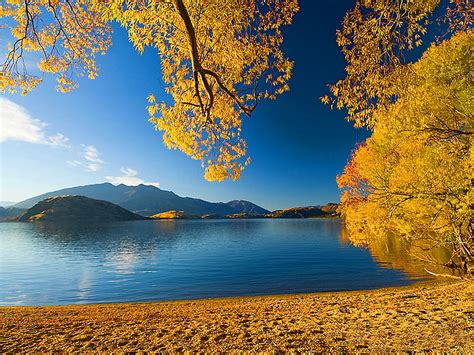 Autumn Beach Fall Autumn Colors Lake Beach Leaves Water River