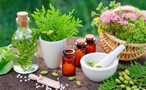 9 Conceptos Básicos Que Debes Conocer De La Homeopatía Deusto Salud