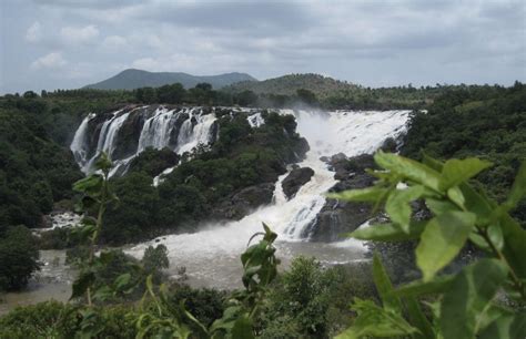 Shivanasamudra Falls Mysore Entry Fee Visit Timings Things To Do