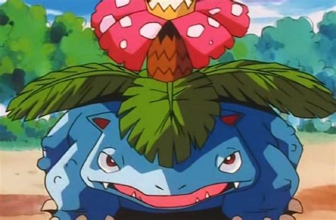 Top 5 Grass Pokemon From Kanto