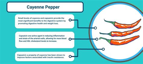 Cayenne Peppers Health Benefits You Never Knew Riskaverse
