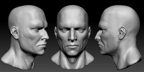 head zbrush by sanislov pcc human bust assets pinterest zbrush head anatomy and anatomy