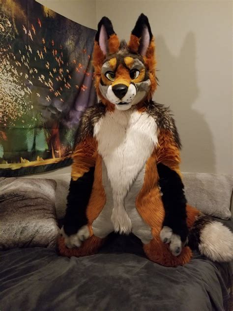 Pin By Floofifox On Fursuits Fursuit Furry Anime Furry Anthro Furry
