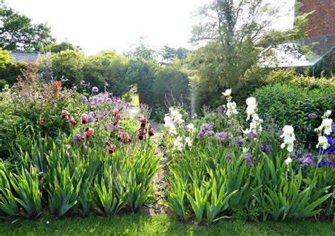 Gardening 101 Iris Gardenista Sourcebook For Outdoor Living