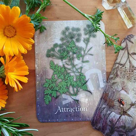 Magickal Herb Oracle Cards Enchanting Secrets From The Garden