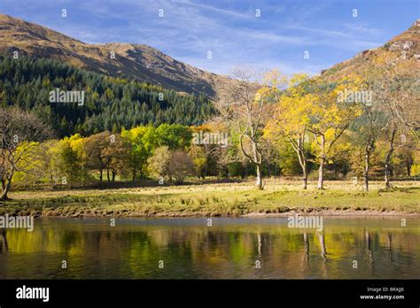 Autumn View Across Loch Lubnaig To The Slopes Of Ben Ledi Stirling
