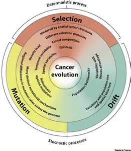Cancer Evolution And The Limits Of Predictability In Precision Cancer