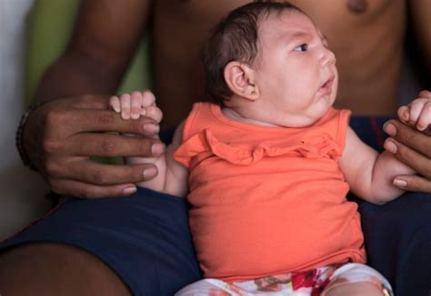 Zika Virus 6 Things To Know About The Growing Outbreak Cbc News