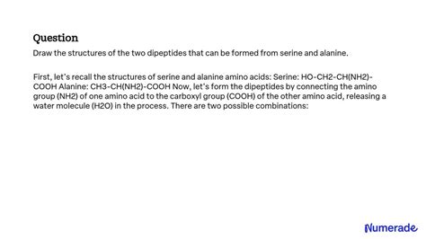 Solveddraw The Structures Of The Two Dipeptides That Can Be Formed