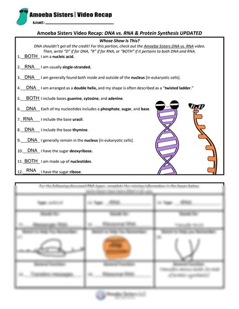 Solution Dna Vs Rna And Protein Synthesis Updated Recap By Amoeba