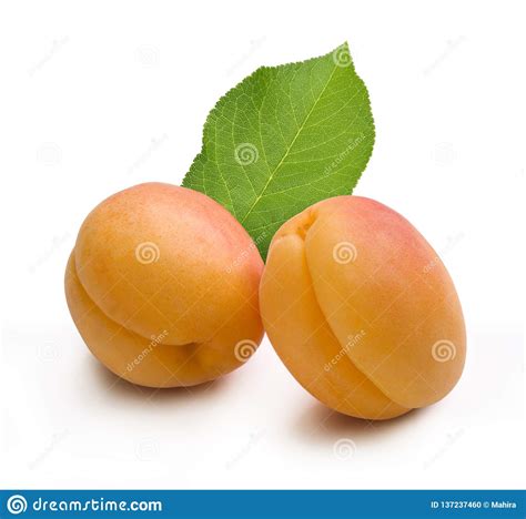 Fresh Apricot With Leaf On White Background Stock Photo Image Of