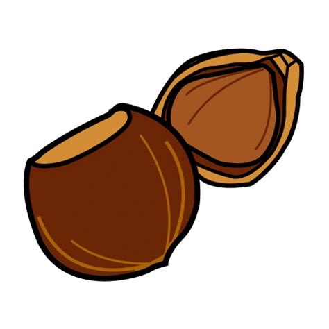 Hazelnut In Arasaac · Global Symbols