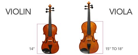 Cuáles Son Las Diferencias Entre Un Violín Y Una Viola 60 Off