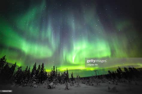 Northern Lights Also Known As Aurora Borealis In Lapland Finland High