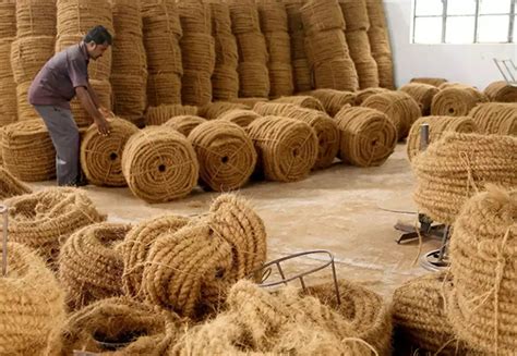 India Records All Time High Export Of Coir And Coir Products